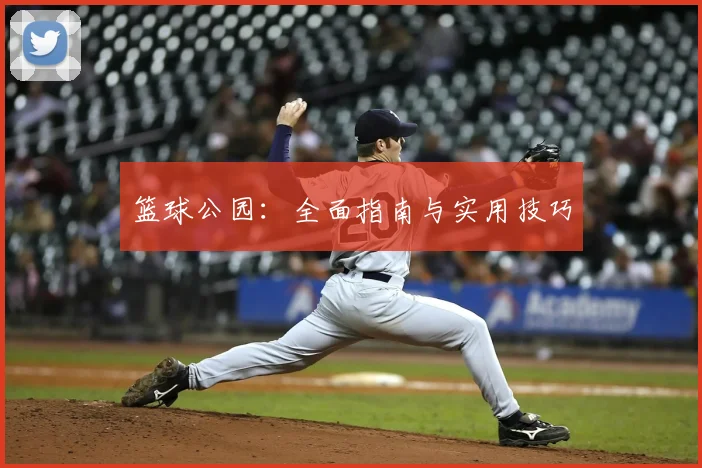 篮球公园：全面指南与实用技巧